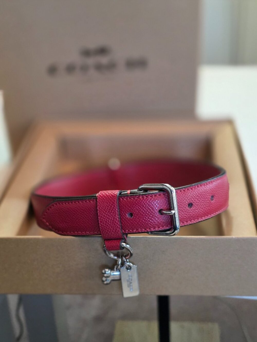 COACH Leather large pet collar